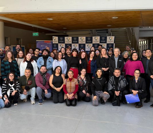 Atacama inicia la segunda versión del Diplomado en Educación Artística con 45 nuevos becarios