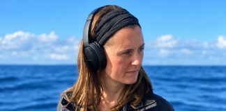 Investigaciones científicas revelan la importancia del entorno de Isla Chañaral para la alimentación de grandes ballenas