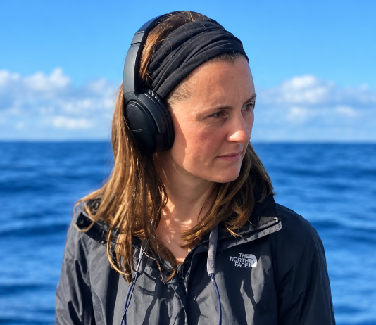 Investigaciones científicas revelan la importancia del entorno de Isla Chañaral para la alimentación de grandes ballenas