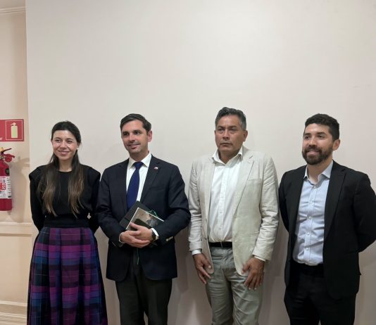 Terreno de CORFO para una futura bencinera y reconocimiento como zona de rezago: Santana, Cicardini y alcalde Olivares gestionan proyectos para Alto del Carmen.