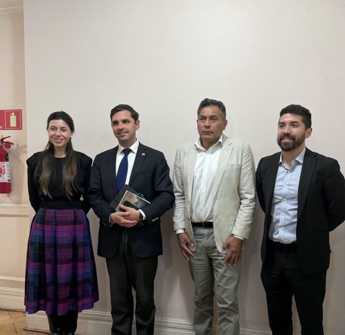Foto gestiones alto del carmen