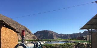 CNR reitera llamado a Pequeños agricultores del Norte Chico para postular a concurso dirigido a proyectos no seleccionados