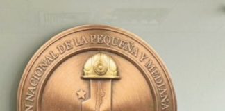 AGRUMIN pide a diputados rechazar cambios del Senado al proyecto de patentes mineras