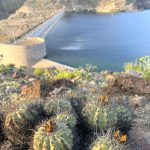 EMBALSE SANTA JUANA INICIA VERTIMIENTO DE SUS AGUAS TRAS ALCANZAR SU MÁXIMA CAPACIDAD