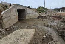 Concejal Maycol Mancilla advierte riesgo para crianceros y conductores por falta de reposición de cercos en la Ruta 5 Norte