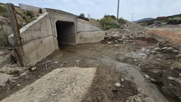 Concejal Maycol Mancilla advierte riesgo para crianceros y conductores por falta de reposición de cercos en la Ruta 5 Norte