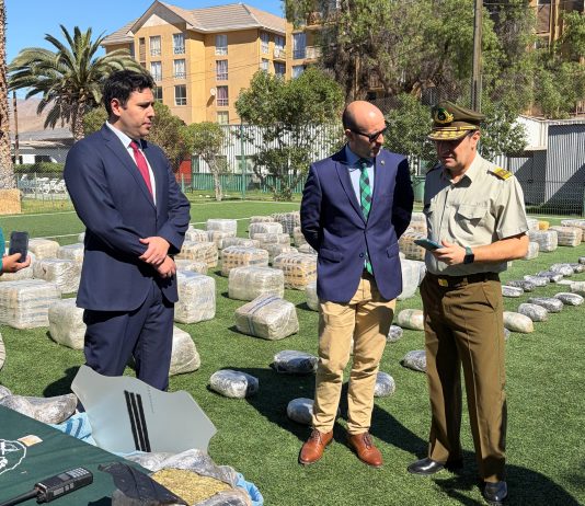 CARABINEROS INCAUTÓ MÁS DE MIL 700 KILOS DE MARIHUANA Y DETUVO AL CONDUCTOR DE UN CAMIÓN