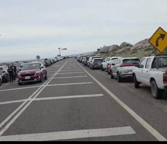 Desierto Florido: autoridades coordinan acciones ante masiva presencia de turistas a Llanos de Challe