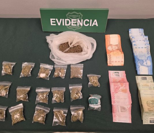 CARABINEROS EN COPIAPO DETUVO A DOS PERSONAS POR INFRACCIÓN LEY DE DROGAS