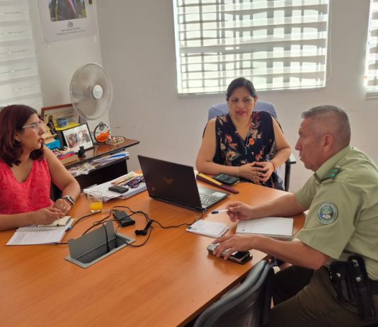 CARABINEROS Y EQUIPO DIRECTIVO DEL LICEO POLIVALENTE EL PALOMAR COORDINAN ACCIONES PARA PREVENIR LA VIOLENCIA ESCOLAR
