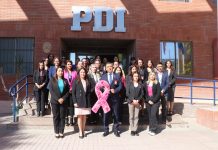 SEREMI de Salud y PDI desarrollan jornada educativa sobre prevención y abordaje clínico del cáncer de mama