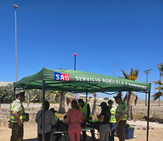 CARABINEROS Y SAG REFUERZAN CONTROLES PREVENTIVOS EN LA RUTA 5 NORTE PARA PROTEGER EL PATRIMONIO FITO Y ZOOSANITARIO
