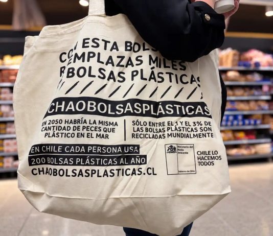 SEREMI del Medio Ambiente descarta que proyecto de ley permita el regreso de las bolsas plásticas a las cajas de los supermercados