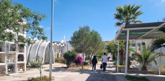 Cementerio Municipal de Vallenar prepara sus instalaciones para recibir a la comunidad durante el Día de Todos los Santos